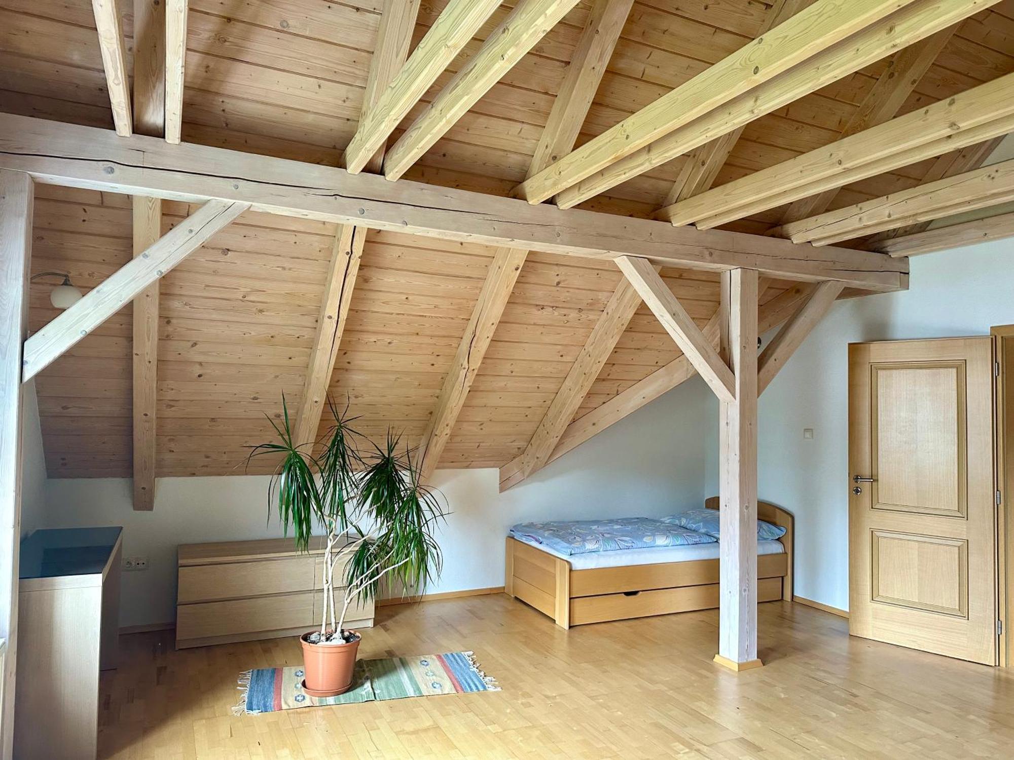 Apartman Lazec チェスキー クルムロフ エクステリア 写真